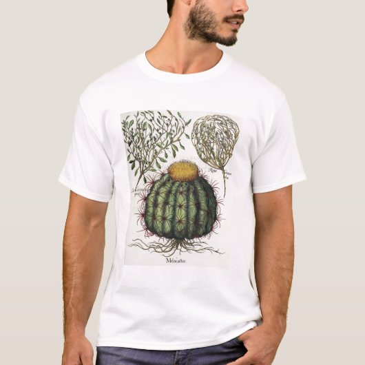 1.Melocactus; 2.Rosa Hiericonteaのaperta; 3.Rosaこんに Tシャツ (正面)