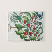 1.Solanum Pomiferum; から、vulgaris 2.Amaracus ジグソーパズル (横)