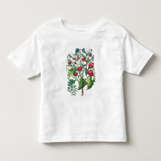 1.Solanum Pomiferum; から、vulgaris 2.Amaracus トドラーTシャツ (正面)