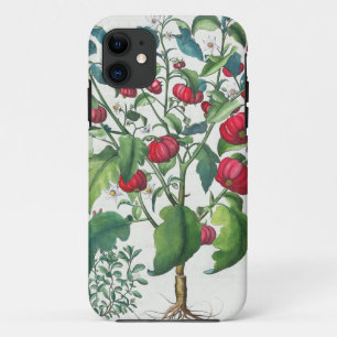 1.Solanum Pomiferum; から、vulgaris 2.Amaracus iPhone 11 ケース
