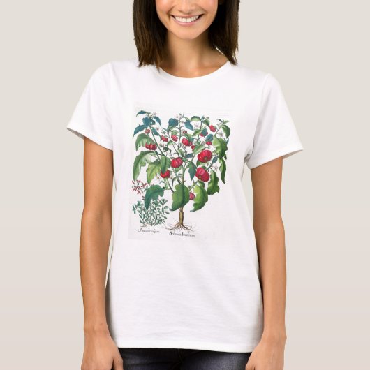 1.Solanum Pomiferum; から、vulgaris 2.Amaracus Tシャツ (正面)