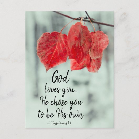 1 Thessalonians 1:4 God loves you...He chose you, ポストカード (正面)