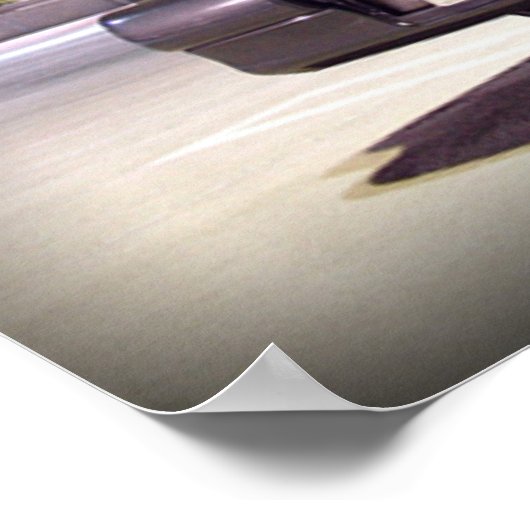 1g DSMポスター ポスター (角)