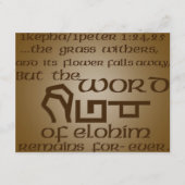 1Kepha/1Peter 1:24,25 (正面)