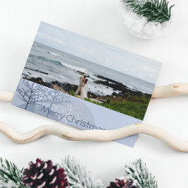 1stクリスマスブルーホリデーツリーまたは誰もが写真 シーズンカード