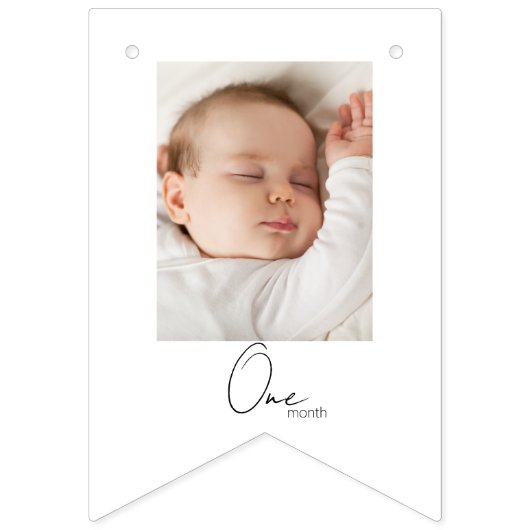 1st誕生日の恐竜12ヶ月の写真のバウンティングフラグ バンティングフラッグ (第3の旗)