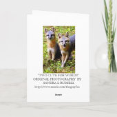 2かわいいキツネ カード (裏面)