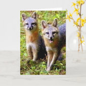 2かわいいキツネ カード (黄色い花)