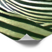 2かわいいシマウマ ポスター (角)