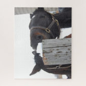 2かわいい馬がフェンスの上で噛む ジグソーパズル (縦)