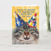 2つのおもしろいパーティー帽子を持つ猫の誕生日挨拶 カード (正面)