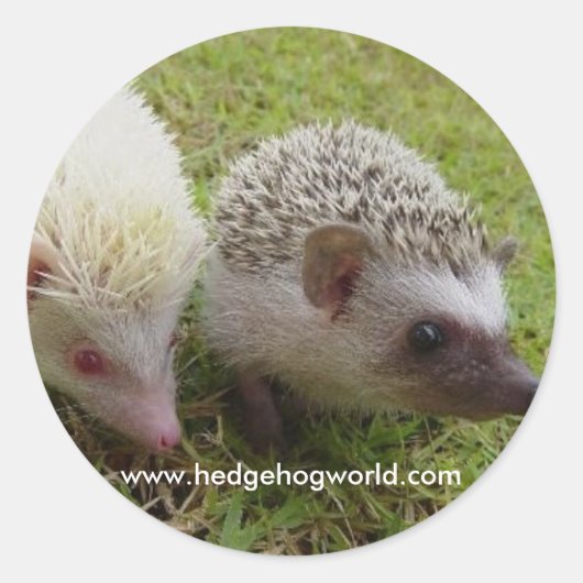 2つのかわいこちゃん ラウンドシール (正面)