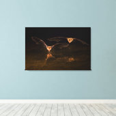 2つのこうもり飛んでいる、アリゾナ キャンバスプリント (インサイチュ (ウッドフロア))