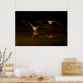 2つのこうもり飛んでいる、アリゾナ ポスター (キッチン)