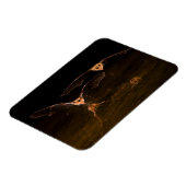 2つのこうもり飛んでいる、アリゾナ マグネット (左側)