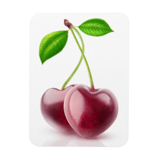 2つのさくらんぼハート マグネット (縦)