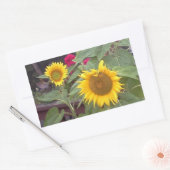 2つのひまわりが描かれた長方形のステッカー 長方形シール (封筒)