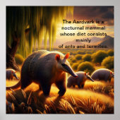 2つのアアルドヴァルクテンダーアンテーター母性愛 ポスター (正面)