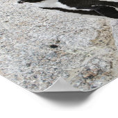 2つのアフリカペンギン、大きい石ビーチ、南アフリカ ポスター (角)