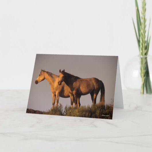 2つのアラブスタンドトゥート夕べライト カード (正面)