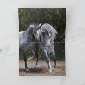 2つのアンダルシアの牡馬 – 馬のグリーティングカード カード (内部)