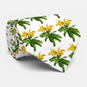 2つのイエローレディースリッパの蘭 ネクタイ (ロール)