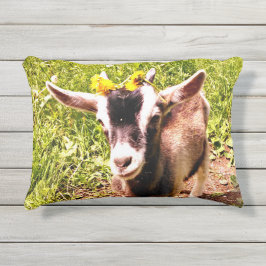 2つのイメージのベビーのヤギの屋外の枕 アウトドアクッション