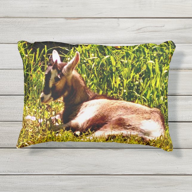 2つのイメージのベビーのヤギの屋外の枕 アウトドアクッション (裏面)