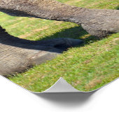 2つのインディアンサイ ポスター (角)