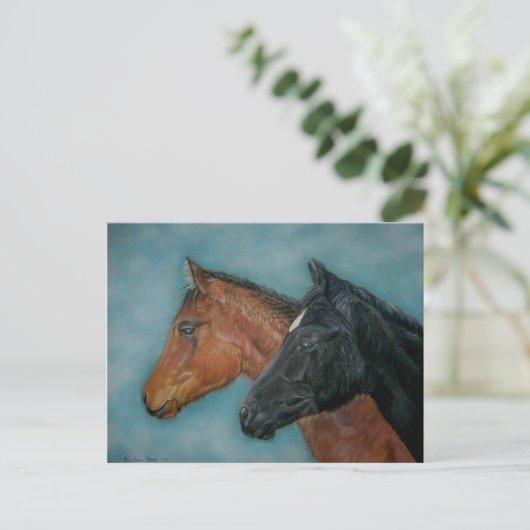 2つのウマ科の非常に可愛いベビー馬の写真 ポストカード (スタンド正面)