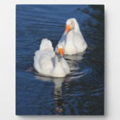 2つのエンデンゲーゼII フォトプラーク (正面)