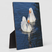 2つのエンデンゲーゼII フォトプラーク (側面)