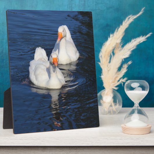 2つのエンデンゲーゼII フォトプラーク (側面)