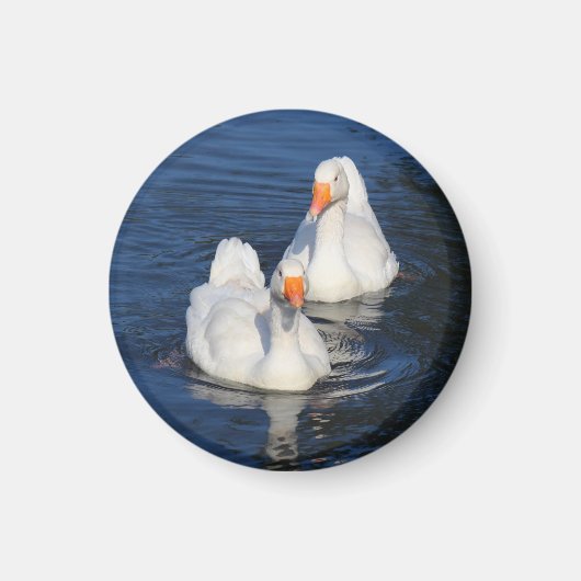 2つのエンデンゲーゼII マグネット (正面)