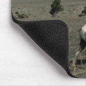 2つのオオツノヒツジのラム マウスパッド (コーナー)