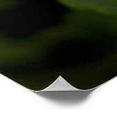 2つのオダマキ(植物) ポスター (角)