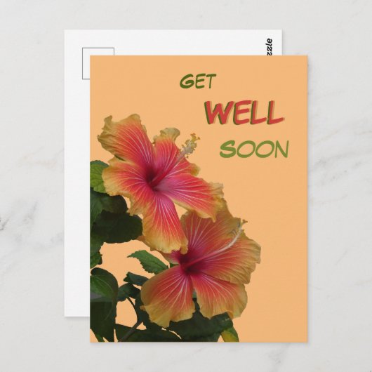 2つのオレンジ色のハイビスカスの花々はすぐに良く得る ポストカード (正面/裏面)