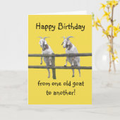 2つのオールドヤギ カード (黄色い花)