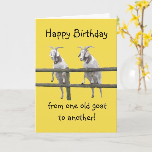 2つのオールドヤギ カード (黄色い花)