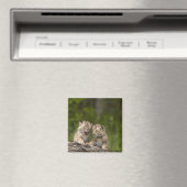 2つのカナダ遊のLynx子猫のログ マグネット (インサイチュ (食洗機))