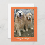 2つのキュートなゴールデンレトリバードッグスサンクスギビング シーズンポストカード (正面/裏面)