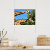 2つのギラフェの休日のクローズアップ ポスター (キッチン)