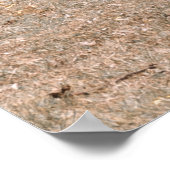 2つのギラフェス ポスター (角)