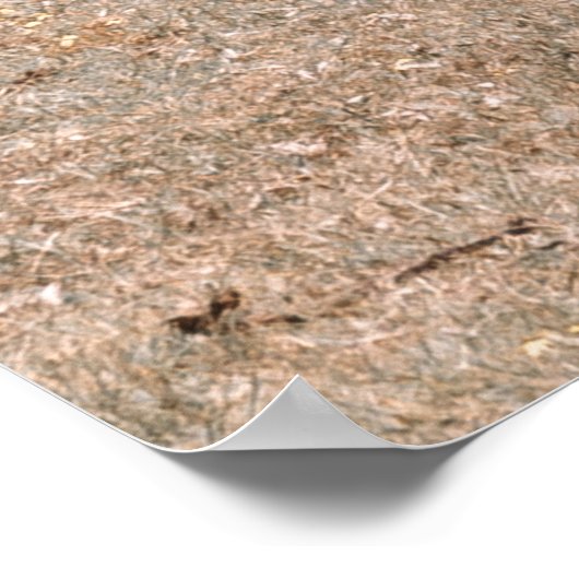 2つのギラフェス ポスター (角)