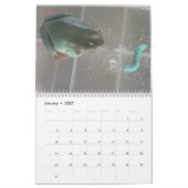 2つのグリーンカエル2023カレンダー カレンダー (1月 2027)