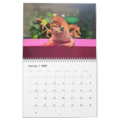 2つのグリーンカエル2024カレンダー カレンダー (1月 2027)