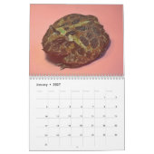 2つのグリーンカエル2025カレンダー カレンダー (1月 2027)