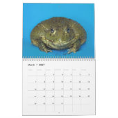 2つのグリーンカエル2025カレンダー カレンダー (3月 2027)