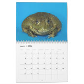 2つのグリーンカエル2025カレンダー カレンダー (3月 2026)