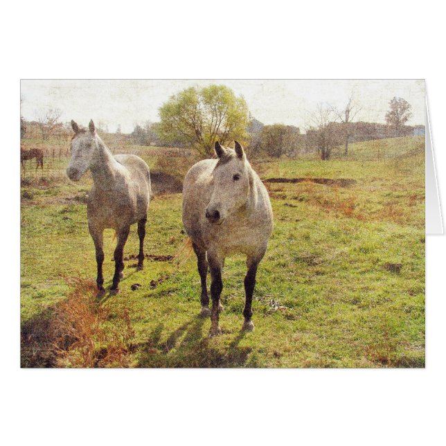 2つのグレー (正面横)